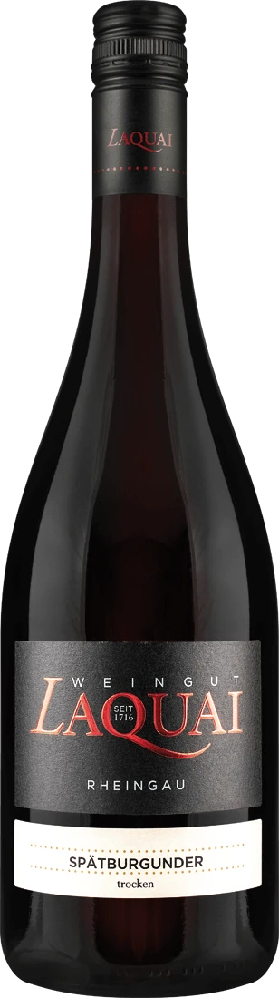 Laquai Spätburgunder Lorcher Bodental Steinberg 2019 3 Laquai Spätburgunder Lorcher Bodental Steinberg 2019