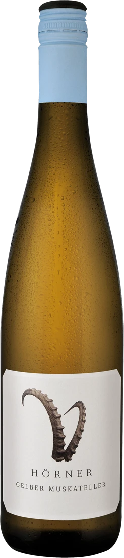 Hörner Gelber Muskateller Steinbock 2022