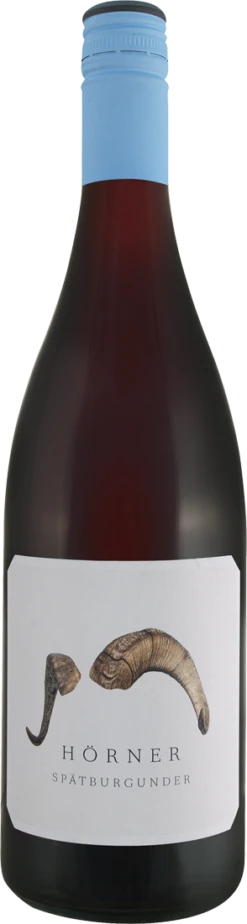 Hörner Spätburgunder Widder 2017