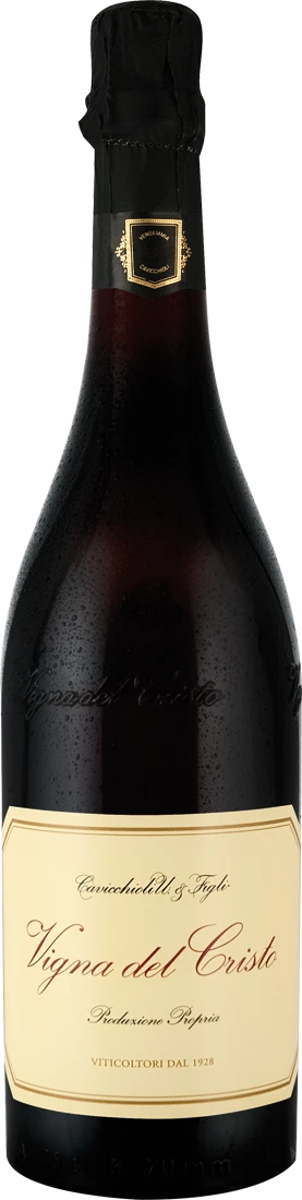 Cavicchioli Vigna Del Cristo Lambrusco Sorbara Secco DOC 2022 3 Cavicchioli Vigna Del Cristo Lambrusco Sorbara Secco DOC 2022