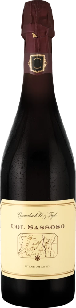 Cavicchioli Col Sassoso Lambrusco Grasparossa Di Castelvetro DOC 2020