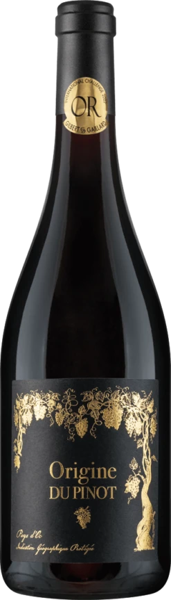 Joseph Castan Origine Du Pinot IGP 2021