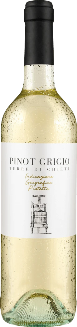 Tollo Pinot Grigio Terre Di Chieti IGP 2022