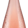 Paladin Prosecco Rosè Millesimato Brut DOC 2022 -EBROSIA Verkäufe 013532 Prosecco Rose Millesimato Brut 2019